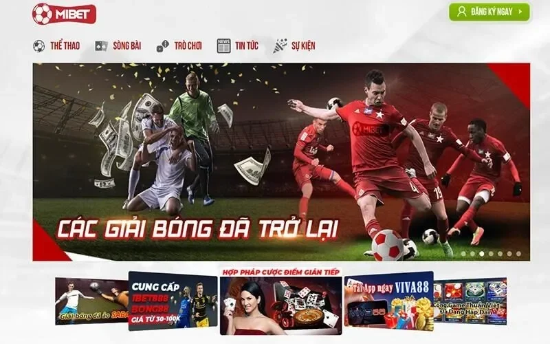 Cá cược thể thao siêu hot cùng nhà cái Mibet